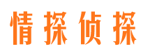 青阳侦探